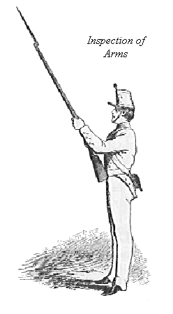 Inspection Arms
